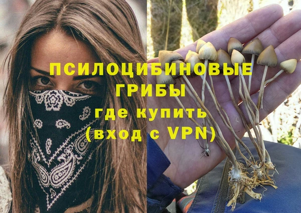 ALPHA PVP Белокуриха